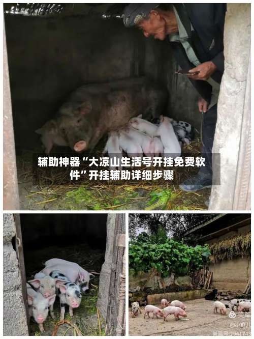 辅助神器“大凉山生活号开挂免费软件	”开挂辅助详细步骤-第1张图片