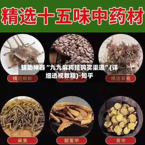 辅助神器“九九麻将挂购买渠道”(详细透视教程)-知乎-第1张图片