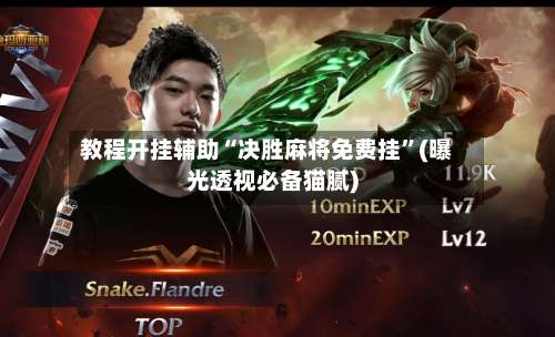 教程开挂辅助“决胜麻将免费挂”(曝光透视必备猫腻)-第3张图片