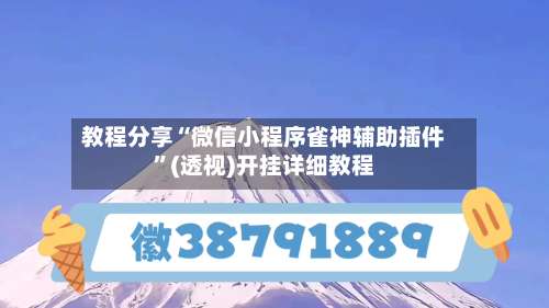 教程分享“微信小程序雀神辅助插件	”(透视)开挂详细教程-第2张图片