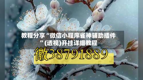 教程分享“微信小程序雀神辅助插件”(透视)开挂详细教程-第1张图片