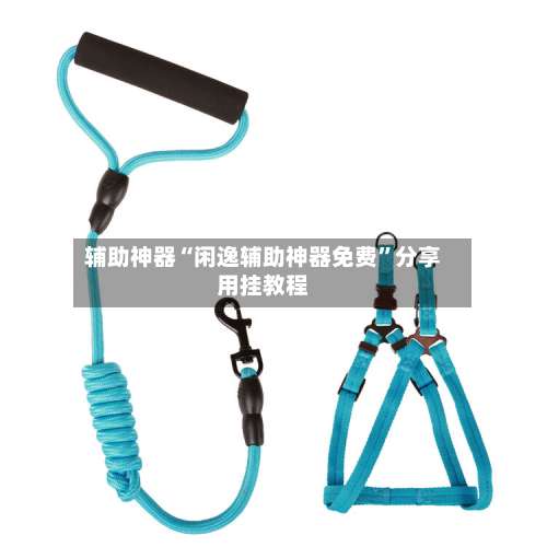 辅助神器“闲逸辅助神器免费	”分享用挂教程-第1张图片