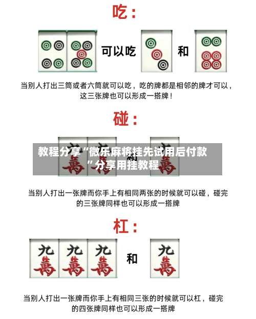 教程分享“微乐麻将挂先试用后付款”分享用挂教程-第2张图片