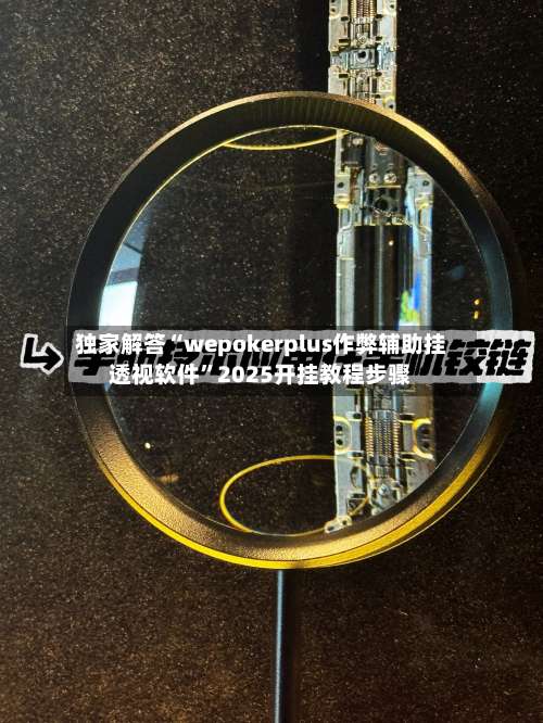 独家解答“wepokerplus作弊辅助挂透视软件	”2025开挂教程步骤-第2张图片