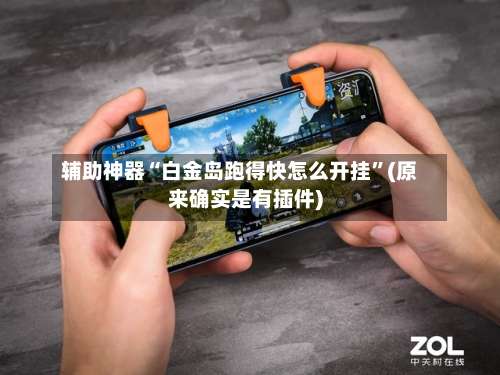 辅助神器“白金岛跑得快怎么开挂”(原来确实是有插件)-第3张图片