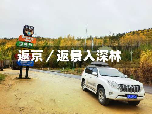 返京／返景入深林-第1张图片