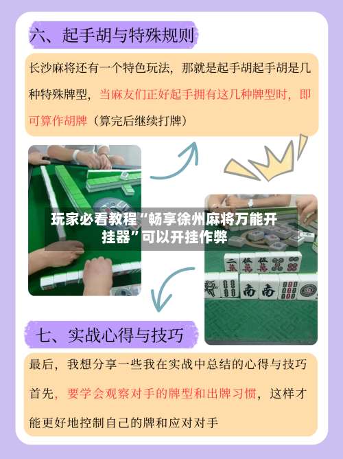 玩家必看教程“畅享徐州麻将万能开挂器”可以开挂作弊-第3张图片