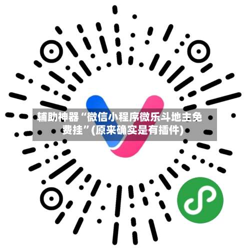 辅助神器“微信小程序微乐斗地主免费挂”(原来确实是有插件)-第3张图片