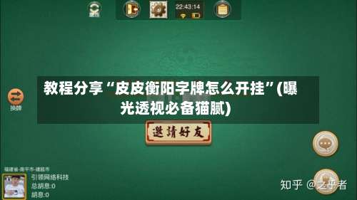 教程分享“皮皮衡阳字牌怎么开挂	”(曝光透视必备猫腻)-第2张图片