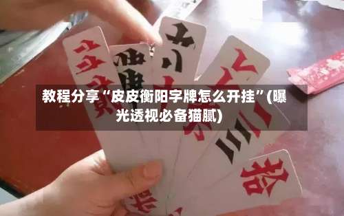 教程分享“皮皮衡阳字牌怎么开挂”(曝光透视必备猫腻)-第3张图片