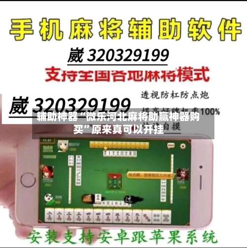 辅助神器“微乐河北麻将助赢神器购买	”原来真可以开挂-第3张图片