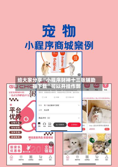 给大家分享“小程序财神十三张辅助器下载”可以开挂作弊-第3张图片