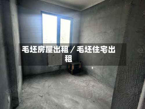 毛坯房屋出租／毛坯住宅出租-第2张图片