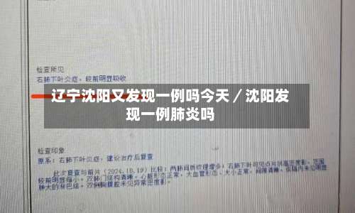 辽宁沈阳又发现一例吗今天／沈阳发现一例肺炎吗-第2张图片