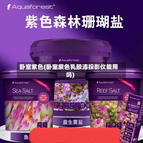 卧室紫色(卧室紫色乳胶漆投影仪能用吗)-第3张图片