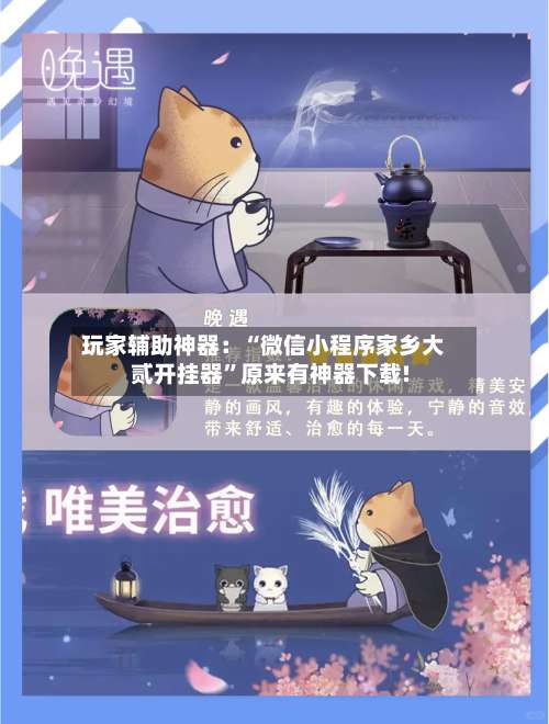 玩家辅助神器：“微信小程序家乡大贰开挂器”原来有神器下载!-第1张图片