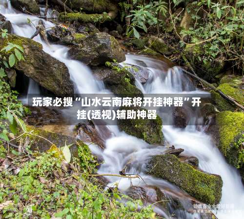 玩家必搜“山水云南麻将开挂神器”开挂(透视)辅助神器-第2张图片