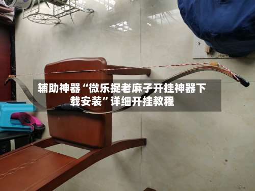 辅助神器“微乐捉老麻子开挂神器下载安装”详细开挂教程-第2张图片