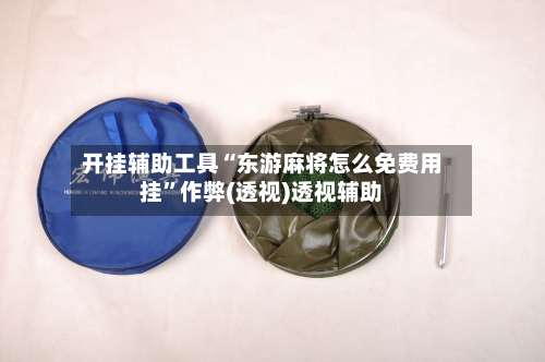 开挂辅助工具“东游麻将怎么免费用挂”作弊(透视)透视辅助-第1张图片