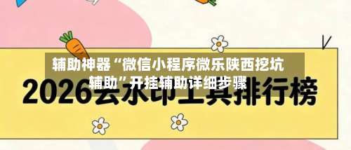 辅助神器“微信小程序微乐陕西挖坑辅助”开挂辅助详细步骤-第1张图片