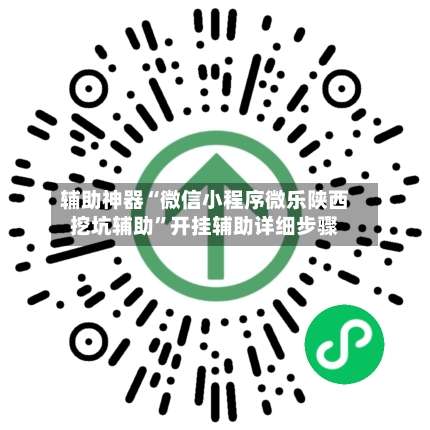 辅助神器“微信小程序微乐陕西挖坑辅助”开挂辅助详细步骤-第3张图片