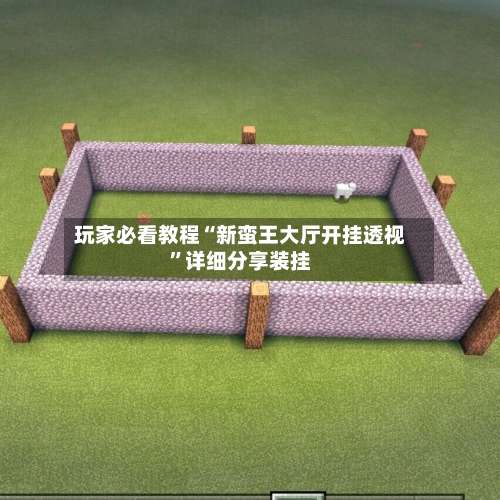 玩家必看教程“新蛮王大厅开挂透视	”详细分享装挂-第2张图片