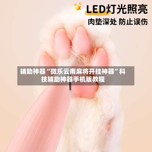 辅助神器“微乐云南麻将开挂神器”科技辅助神器手机版教程-第2张图片