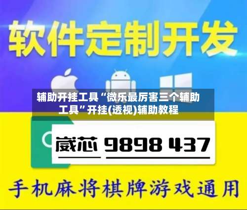 辅助开挂工具“微乐最厉害三个辅助工具”开挂(透视)辅助教程-第2张图片
