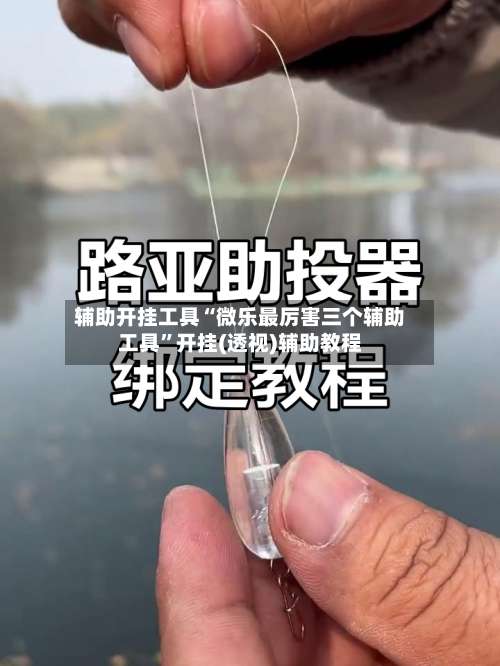 辅助开挂工具“微乐最厉害三个辅助工具”开挂(透视)辅助教程-第1张图片
