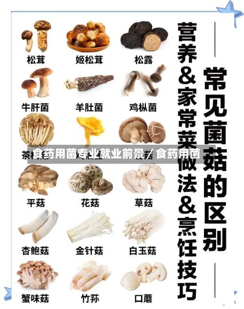 食药用菌专业就业前景／食药用菌-第1张图片