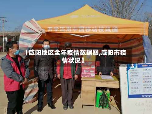 【咸阳地区全年疫情数据图,咸阳市疫情状况】-第3张图片