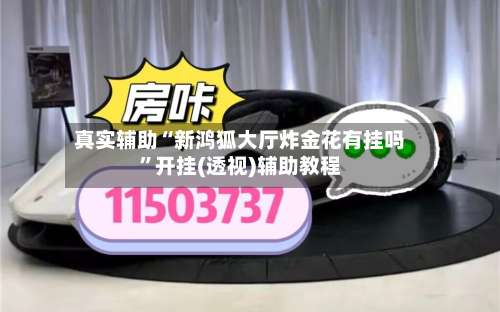 真实辅助“新鸿狐大厅炸金花有挂吗	”开挂(透视)辅助教程-第1张图片