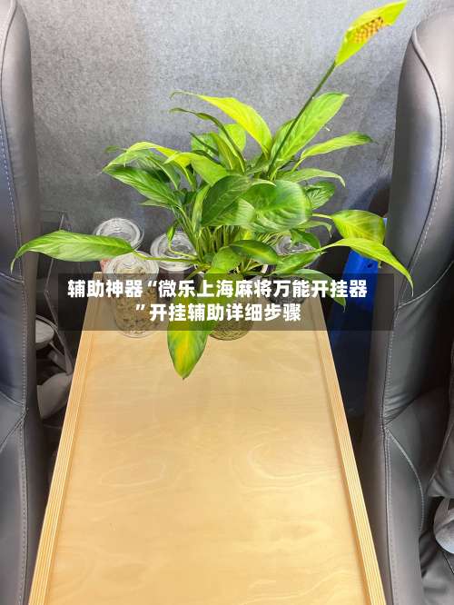 辅助神器“微乐上海麻将万能开挂器”开挂辅助详细步骤-第1张图片