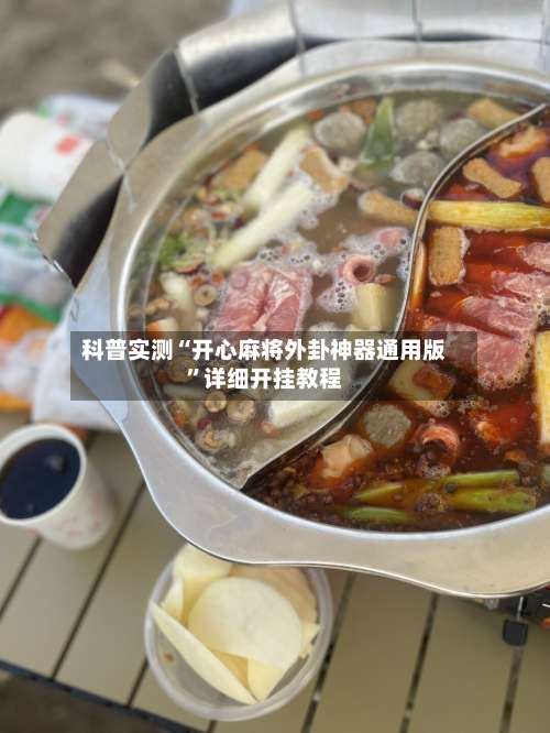 科普实测“开心麻将外卦神器通用版”详细开挂教程-第3张图片