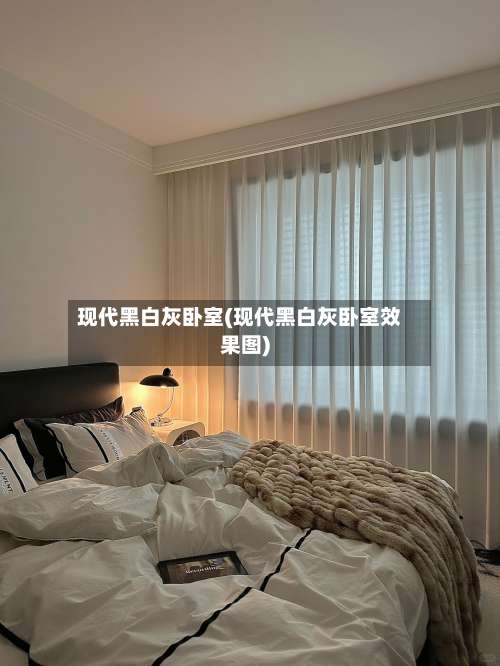 现代黑白灰卧室(现代黑白灰卧室效果图)-第2张图片