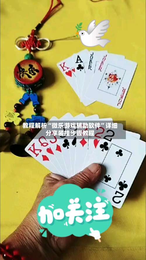 教程解析“微乐游戏辅助软件	”详细分享装挂步骤教程-第2张图片