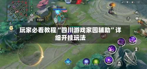 玩家必看教程“四川游戏家园辅助”详细开挂玩法-第1张图片