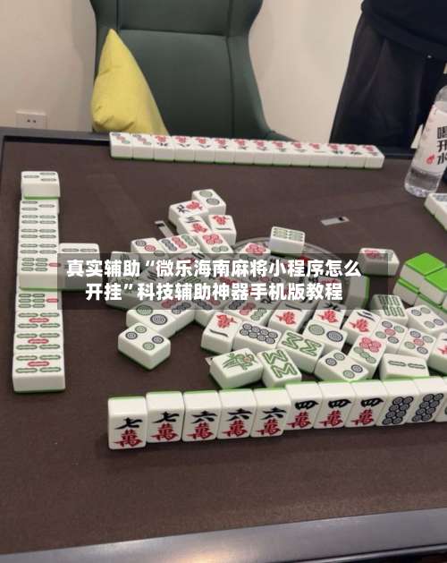 真实辅助“微乐海南麻将小程序怎么开挂”科技辅助神器手机版教程-第1张图片