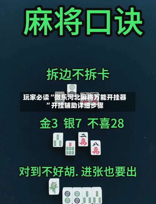 玩家必读“微乐河北麻将万能开挂器	”开挂辅助详细步骤-第2张图片