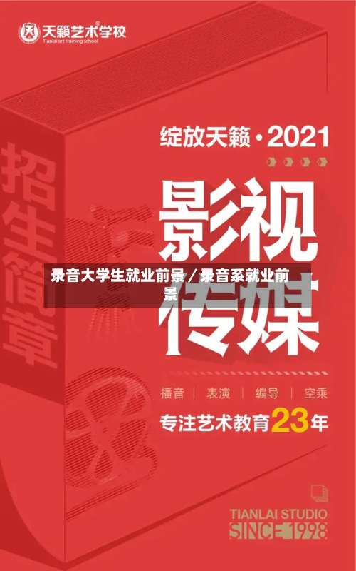 录音大学生就业前景／录音系就业前景-第2张图片