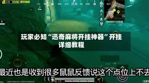 玩家必知“迅奇麻将开挂神器	”开挂详细教程-第2张图片