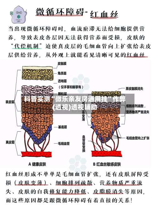 科普实测“微乐亲友房通用挂	”作弊(透视)透视辅助-第2张图片
