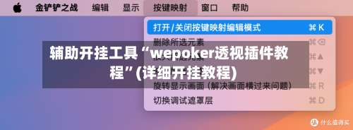 辅助开挂工具“wepoker透视插件教程”(详细开挂教程)-第2张图片