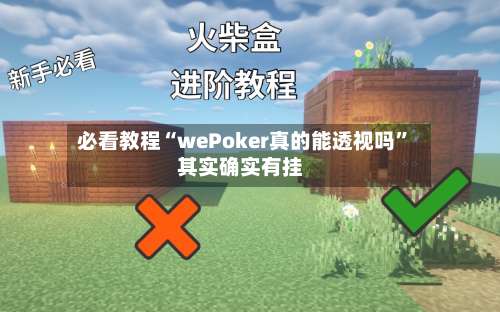 必看教程“wePoker真的能透视吗	”其实确实有挂-第2张图片
