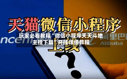 玩家必看教程“微信小程序天天斗地主挂下载”开挂详细教程-第2张图片
