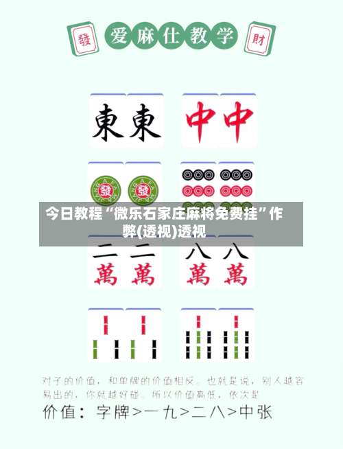 今日教程“微乐石家庄麻将免费挂	”作弊(透视)透视-第1张图片