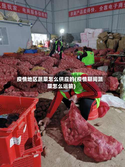 疫情地区蔬菜怎么供应的(疫情期间蔬菜怎么运输)-第1张图片