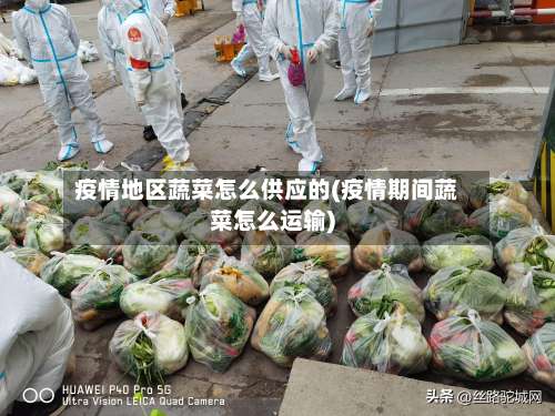 疫情地区蔬菜怎么供应的(疫情期间蔬菜怎么运输)-第2张图片