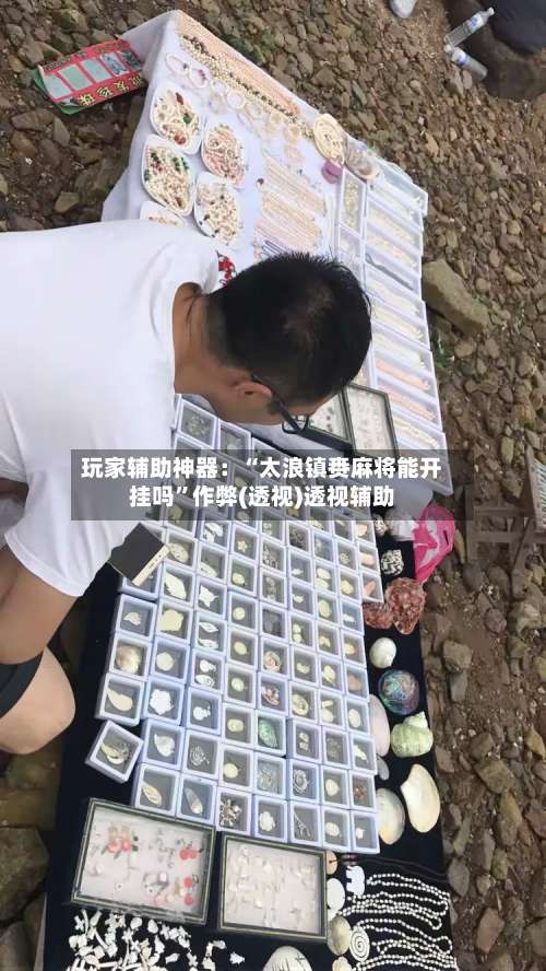 玩家辅助神器：“太浪镇赉麻将能开挂吗”作弊(透视)透视辅助-第2张图片