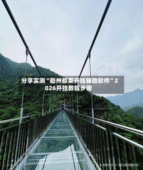 分享实测“衢州都莱开挂辅助软件”2026开挂教程步骤-第3张图片